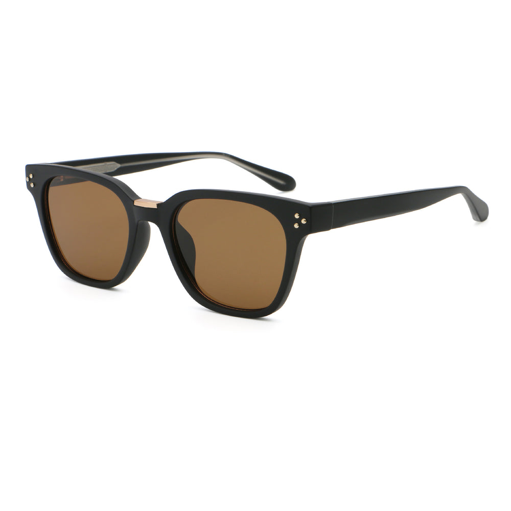 Sable 01 Square Sunglasses in Sand Black / Tea
